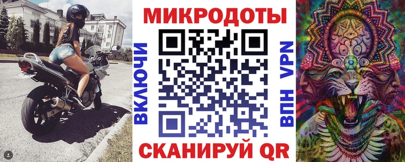 Псилоцибиновые грибы Psilocybe  Апшеронск 